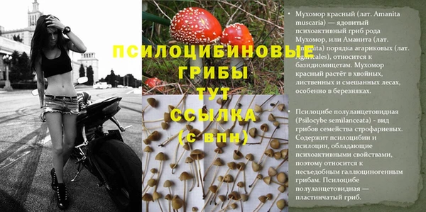 герыч Абинск